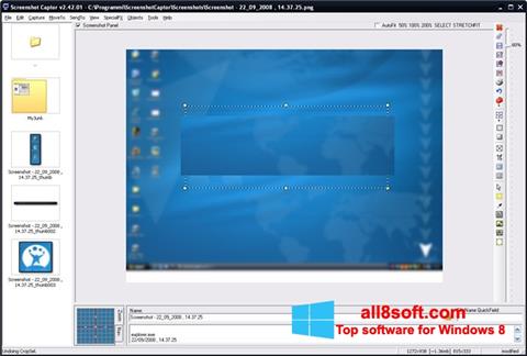 Captură de ecran ScreenShot pentru Windows 8