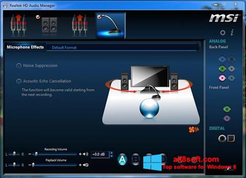 Captură de ecran Realtek Audio Driver pentru Windows 8