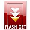 FlashGet pentru Windows 8
