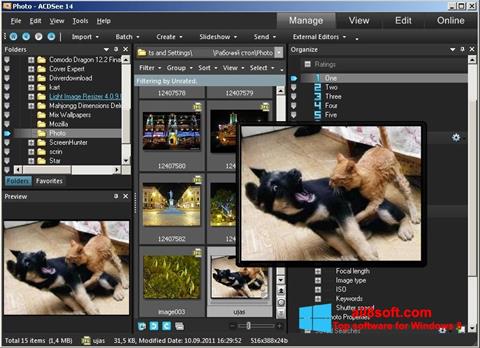 Captură de ecran ACDSee Photo Manager pentru Windows 8