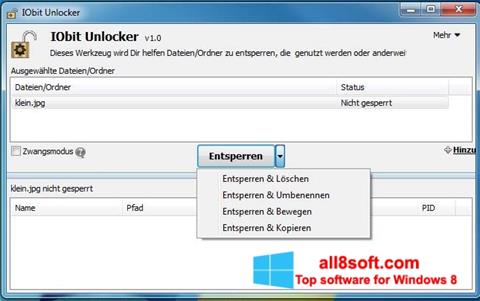 Captură de ecran IObit Unlocker pentru Windows 8