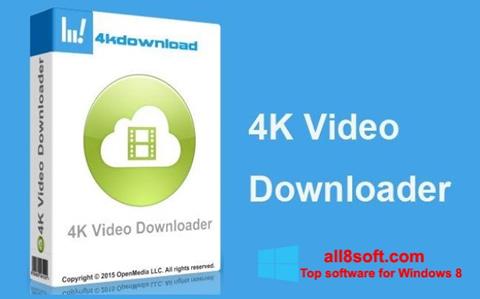 Captură de ecran 4K Video Downloader pentru Windows 8