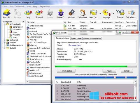 Captură de ecran Internet Download Manager pentru Windows 8