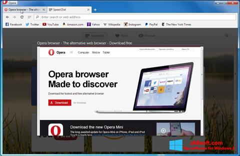 Captură de ecran Opera Developer pentru Windows 8