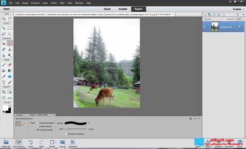 Captură de ecran Photoshop Elements pentru Windows 8