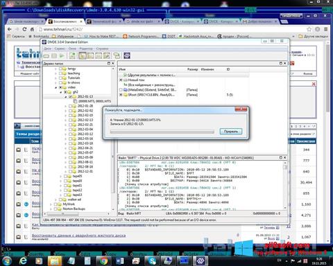 Captură de ecran DMDE pentru Windows 8