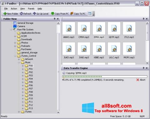 Captură de ecran iFunBox pentru Windows 8