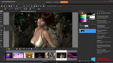 Captură de ecran PaintShop Pro pentru Windows 8