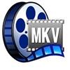 MKV Player pentru Windows 8