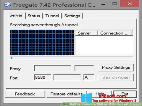 Captură de ecran Freegate pentru Windows 8