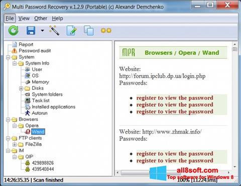 Captură de ecran Multi Password Recovery pentru Windows 8