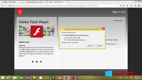 Captură de ecran Adobe Flash Player pentru Windows 8