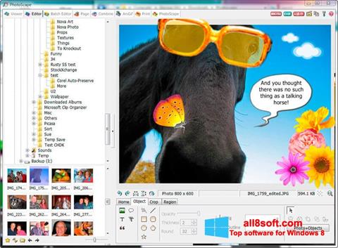 Captură de ecran PhotoScape pentru Windows 8