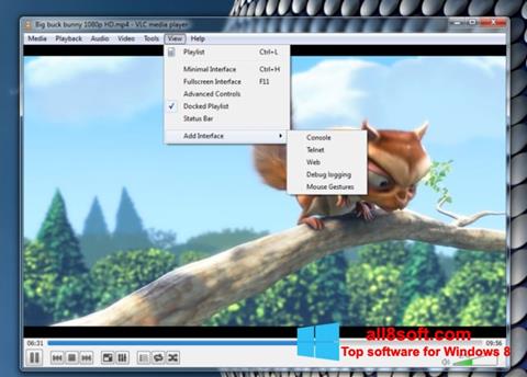 Captură de ecran VLC Media Player pentru Windows 8